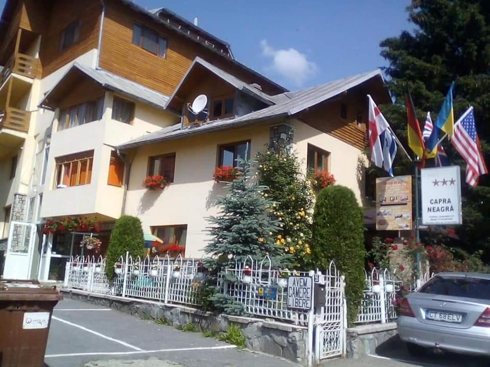 Pensiunea Capra Neagra Busteni Bagian luar foto